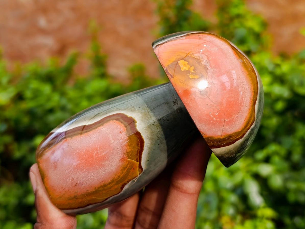 Polished Polychrome Jasper Mushrooms x 6 From Madagascar - Toprock Gemstones and Minerals 