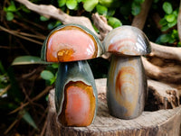 Polished Polychrome Jasper Mushrooms x 6 From Madagascar