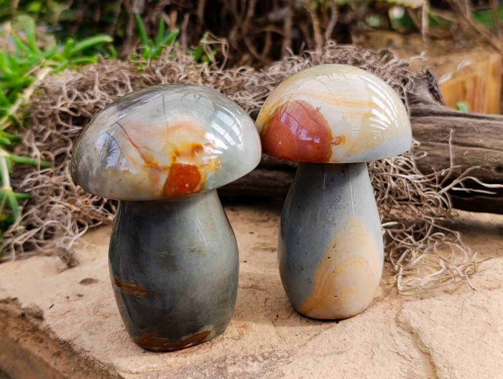 Polished Polychrome Jasper Mushrooms x 6 From Madagascar - Toprock Gemstones and Minerals 