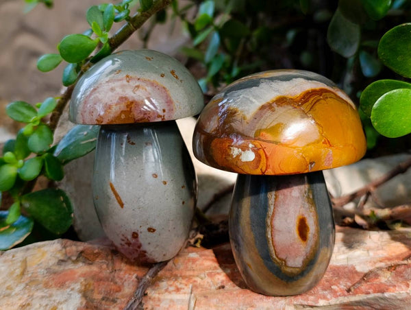 Polished Polychrome Jasper Mushrooms x 6 From Madagascar