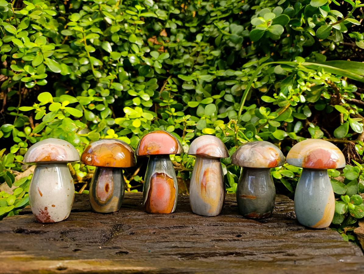 Polished Polychrome Jasper Mushrooms x 6 From Madagascar - Toprock Gemstones and Minerals 