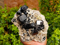 Natural Black Schorl Tourmaline With Smokey Quartz Specimen x 1 From Namibia