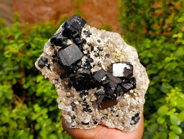 Natural Black Schorl Tourmaline With Smokey Quartz Specimen x 1 From Namibia