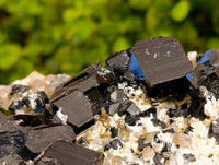 Natural Black Schorl Tourmaline With Smokey Quartz Specimen x 1 From Namibia
