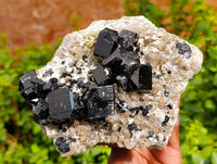 Natural Black Schorl Tourmaline With Smokey Quartz Specimen x 1 From Namibia