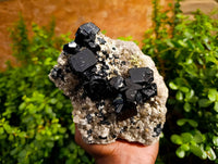 Natural Black Schorl Tourmaline With Smokey Quartz Specimen x 1 From Namibia