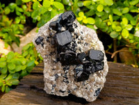 Natural Black Schorl Tourmaline With Smokey Quartz Specimen x 1 From Namibia