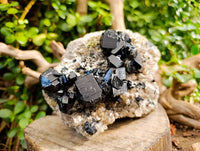 Natural Black Schorl Tourmaline With Smokey Quartz Specimen x 1 From Namibia
