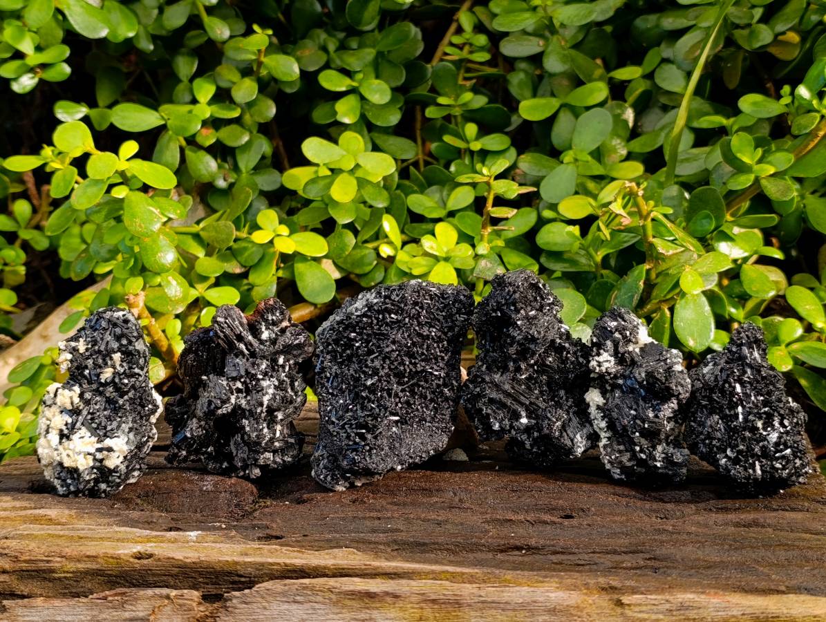 Natural Black Schorl Tourmaline With Cubic Fluorite Specimens x 6 From Namibia - Toprock Gemstones and Minerals 