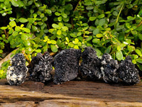 Natural Black Schorl Tourmaline With Cubic Fluorite Specimens x 6 From Namibia