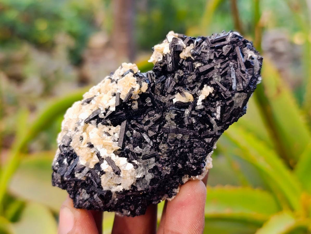 Natural Black Schorl Tourmaline With Cubic Fluorite Specimens x 6 From Namibia - Toprock Gemstones and Minerals 