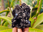 Natural Black Schorl Tourmaline With Cubic Fluorite Specimens x 6 From Namibia - Toprock Gemstones and Minerals 