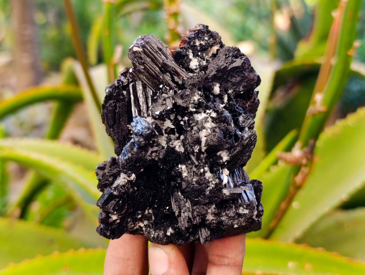 Natural Black Schorl Tourmaline With Cubic Fluorite Specimens x 6 From Namibia - Toprock Gemstones and Minerals 