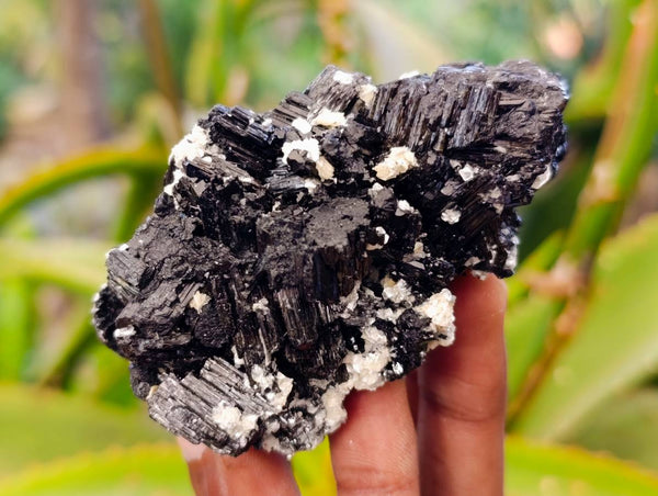 Natural Black Schorl Tourmaline With Cubic Fluorite Specimens x 6 From Namibia