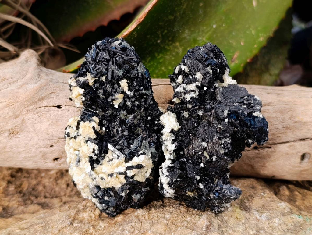 Natural Black Schorl Tourmaline With Cubic Fluorite Specimens x 6 From Namibia - Toprock Gemstones and Minerals 