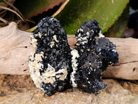 Natural Black Schorl Tourmaline With Cubic Fluorite Specimens x 6 From Namibia