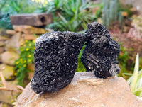 Natural Black Schorl Tourmaline With Cubic Fluorite Specimens x 6 From Namibia