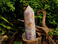 Polished Chevron Amethyst Crystal x 1 Zambia