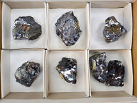 Natural Silver Lead Galena Specimens x 7 From Namibia