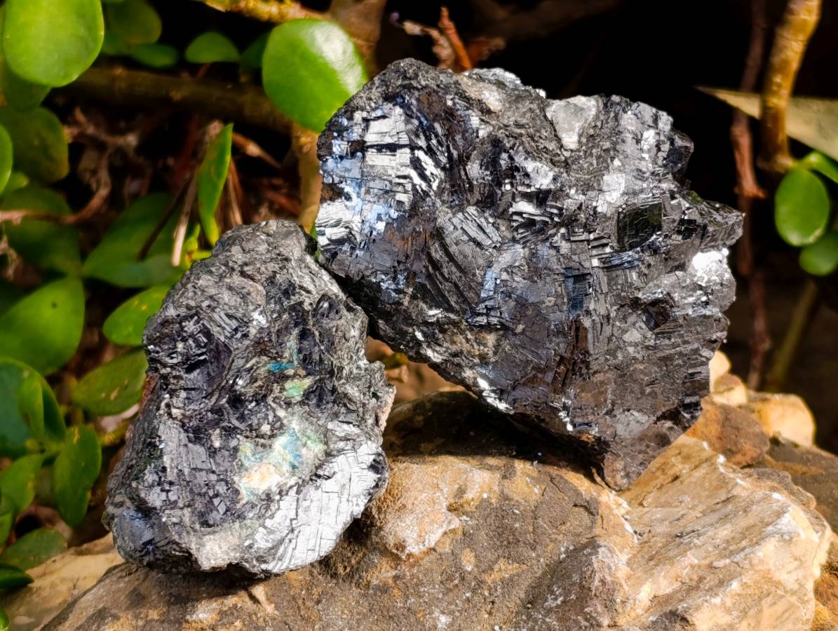 Natural Silver Lead Galena Specimens x 7 From Namibia - Toprock Gemstones and Minerals 