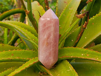 Polished Rose Quartz Spheres x 2 Madagascar