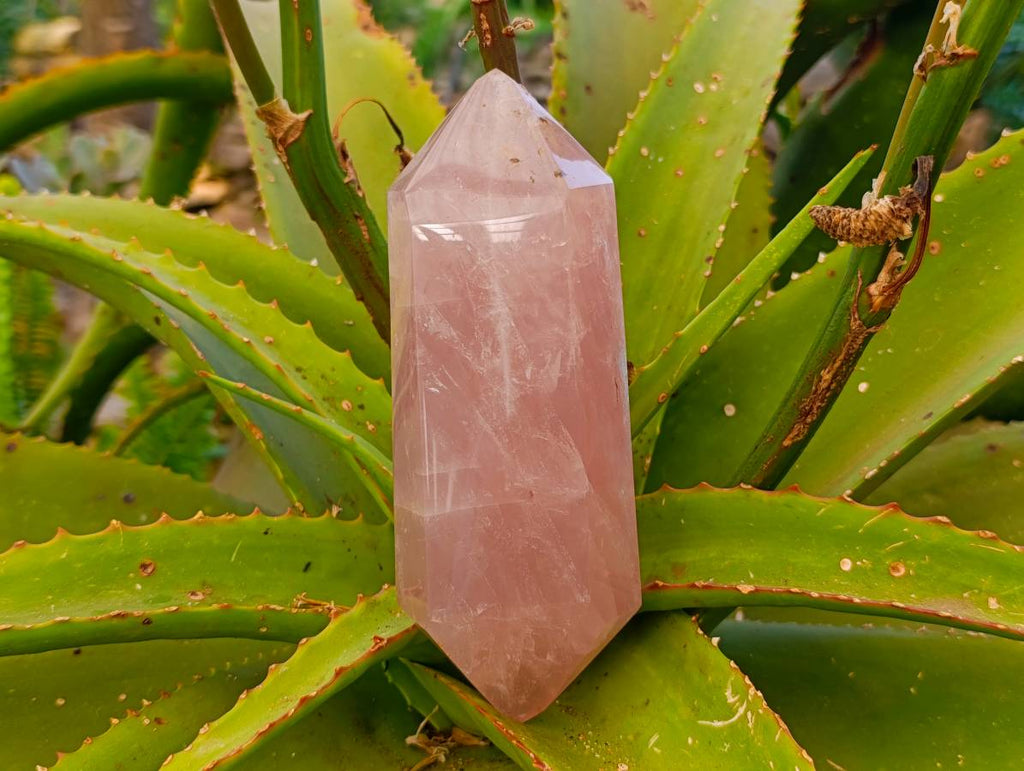 Polished Rose Quartz Spheres x 2 Madagascar - Toprock Gemstones and Minerals 