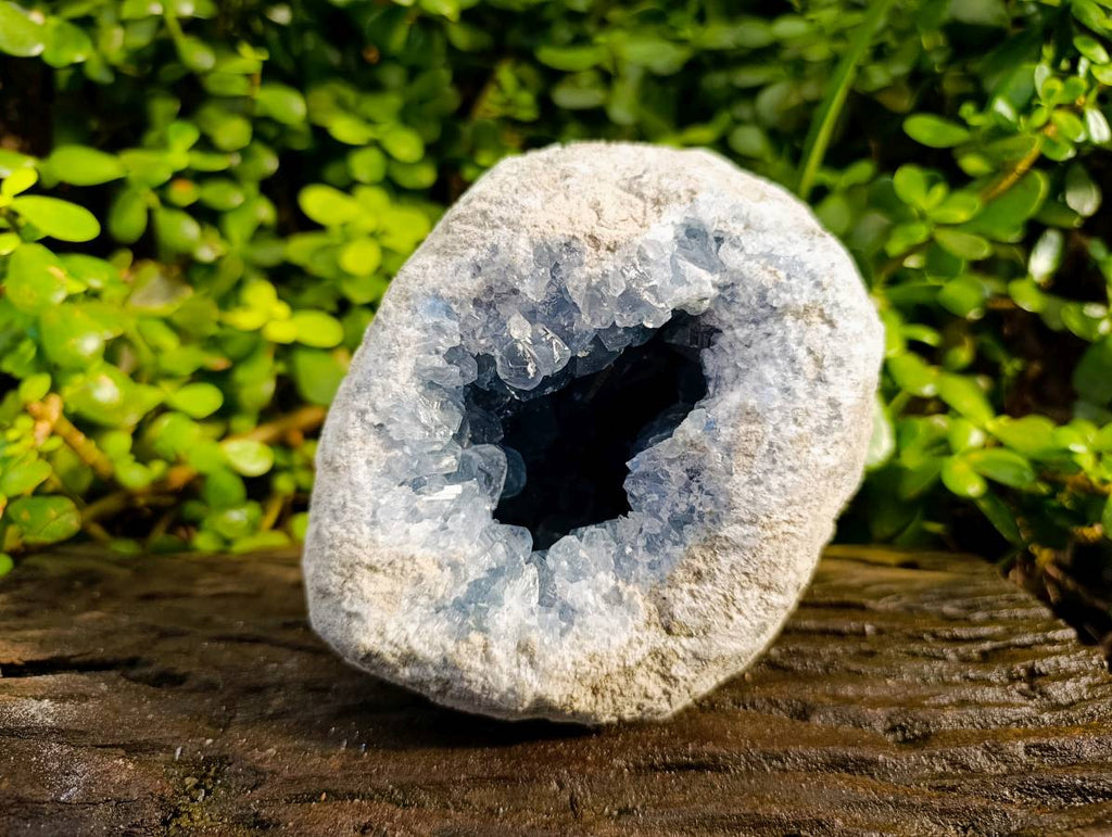 Natura Celestite Geode Specimen x 1 From Sakoany, Madagascar - Toprock Gemstones and Minerals 