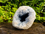 Natura Celestite Geode Specimen x 1 From Sakoany, Madagascar - Toprock Gemstones and Minerals 