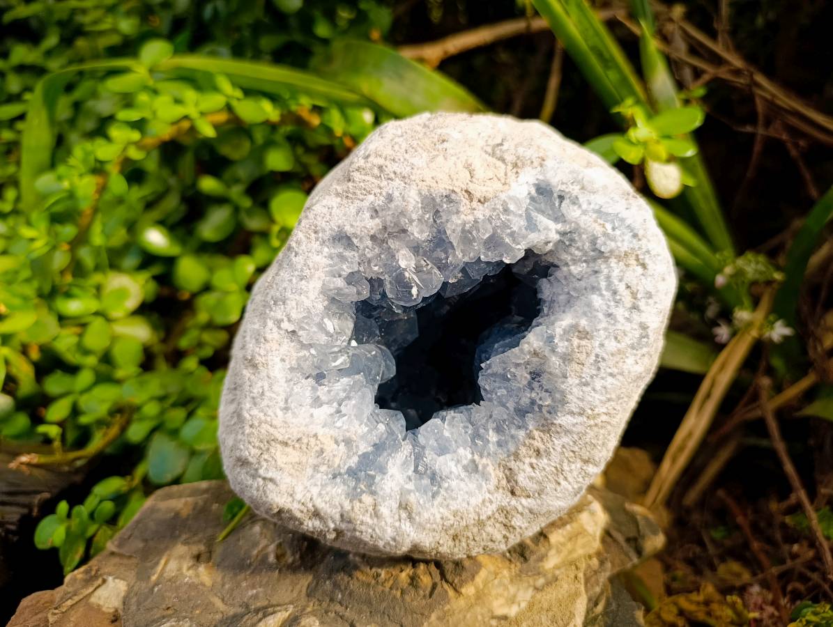 Natura Celestite Geode Specimen x 1 From Sakoany, Madagascar - Toprock Gemstones and Minerals 