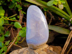 Polished Blue Lace Agate Standing Free Forms x 2 From Malawi - Toprock Gemstones and Minerals 