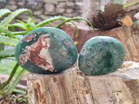 Polished Emerald Mtorolite Free Forms x 6 From Mutorashanga, Zimbabwe - Toprock Gemstones and Minerals 