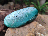 Polished Emerald Mtorolite Free Forms x 6 From Mutorashanga, Zimbabwe - Toprock Gemstones and Minerals 