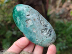 Polished Emerald Mtorolite Free Forms x 6 From Mutorashanga, Zimbabwe - Toprock Gemstones and Minerals 