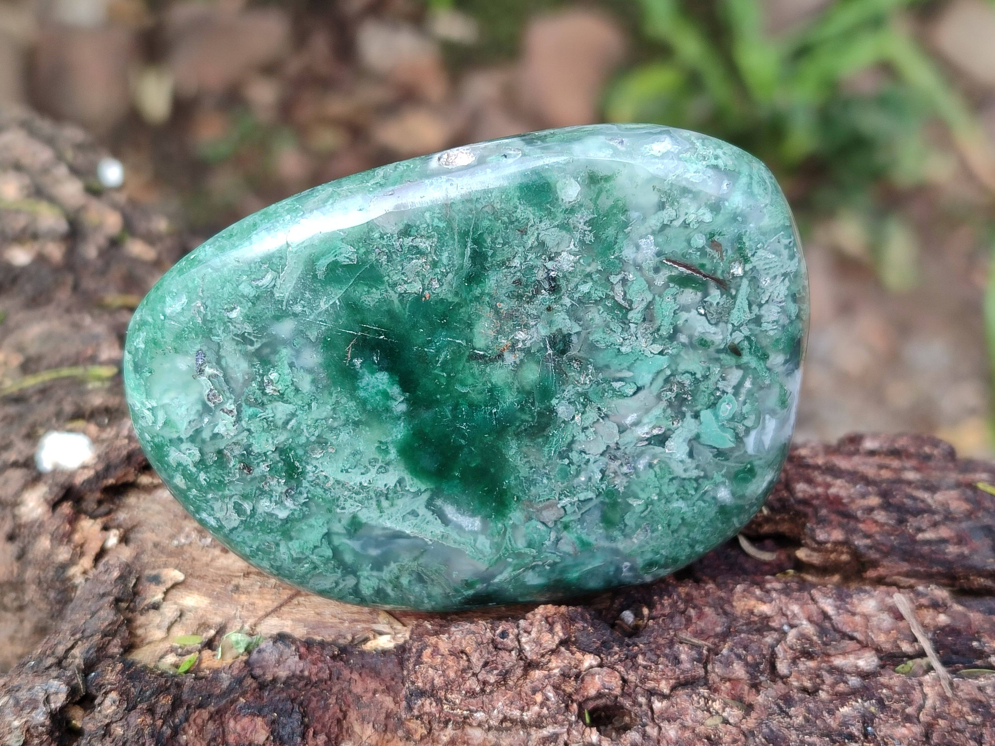 Polished Emerald Mtorolite Free Forms x 6 From Mutorashanga, Zimbabwe - Toprock Gemstones and Minerals 