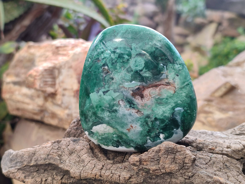 Polished Emerald Mtorolite Free Forms x 6 From Mutorashanga, Zimbabwe - Toprock Gemstones and Minerals 