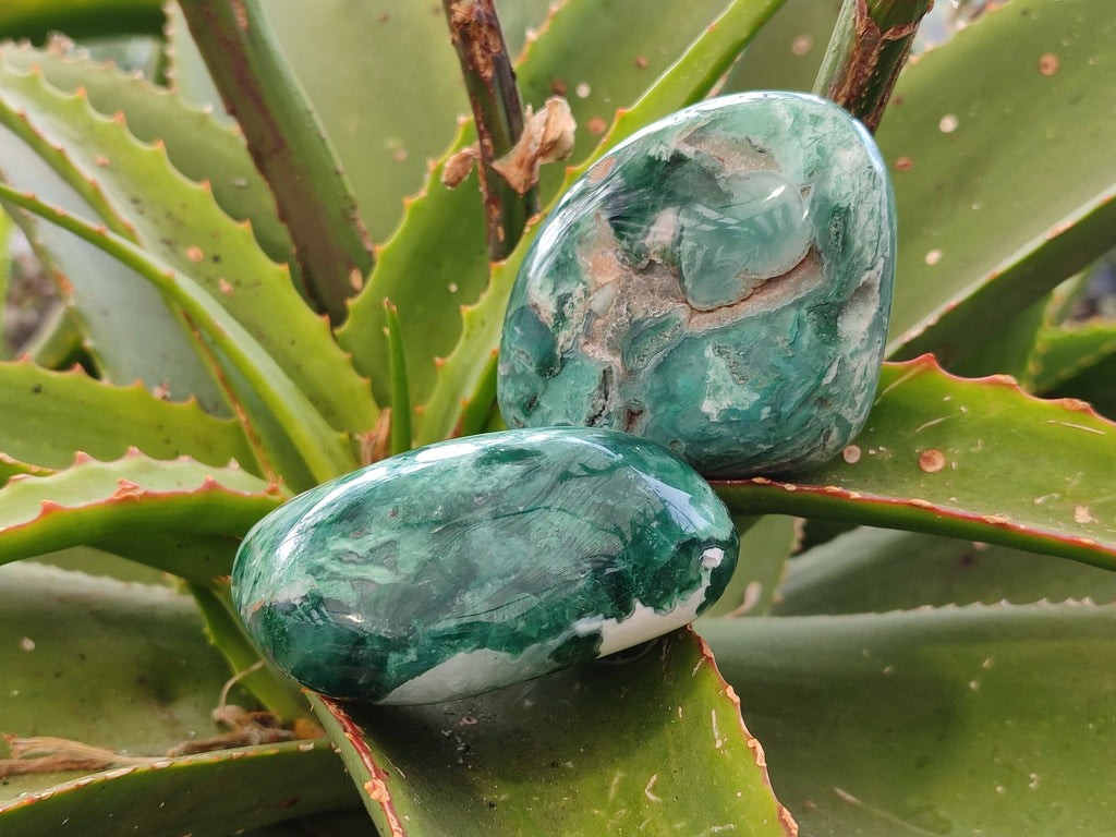 Polished Emerald Mtorolite Free Forms x 6 From Mutorashanga, Zimbabwe - Toprock Gemstones and Minerals 