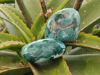 Polished Emerald Mtorolite Free Forms x 6 From Mutorashanga, Zimbabwe - Toprock Gemstones and Minerals 