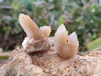 Natural Spirit Quartz Specimens x 70 From Boekenhouthoek, South Africa