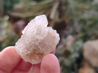 Natural Spirit Quartz Specimens x 70 From Boekenhouthoek, South Africa