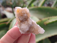 Natural Spirit Quartz Specimens x 70 From Boekenhouthoek, South Africa