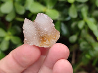 Natural Spirit Quartz Specimens x 70 From Boekenhouthoek, South Africa