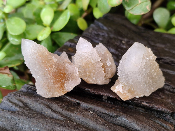 Natural Spirit Quartz Specimens x 70 From Boekenhouthoek, South Africa