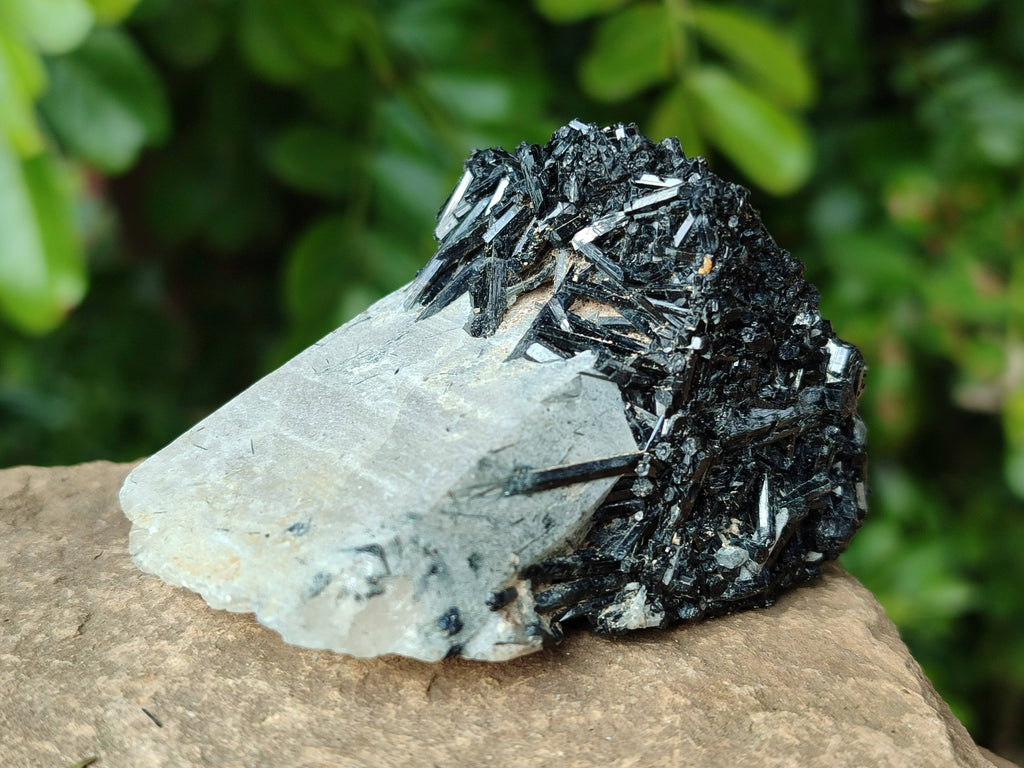 Natural Schorl Black Tourmaline Specimens x 12 From Erongo, Namibia - Toprock Gemstones and Minerals 