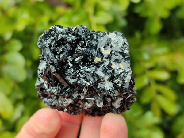 Natural Schorl Black Tourmaline Specimens x 12 From Erongo, Namibia