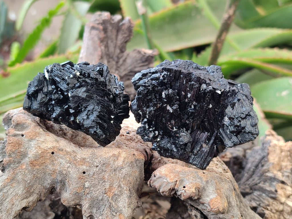 Natural Schorl Black Tourmaline Specimens x 12 From Erongo, Namibia - Toprock Gemstones and Minerals 