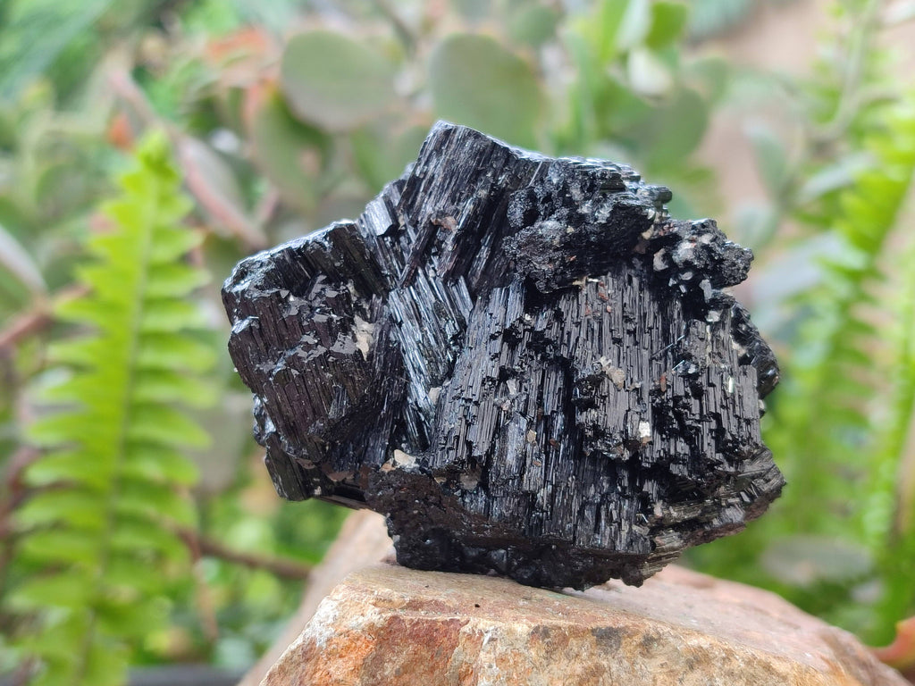 Natural Schorl Black Tourmaline Specimens x 12 From Erongo, Namibia - Toprock Gemstones and Minerals 