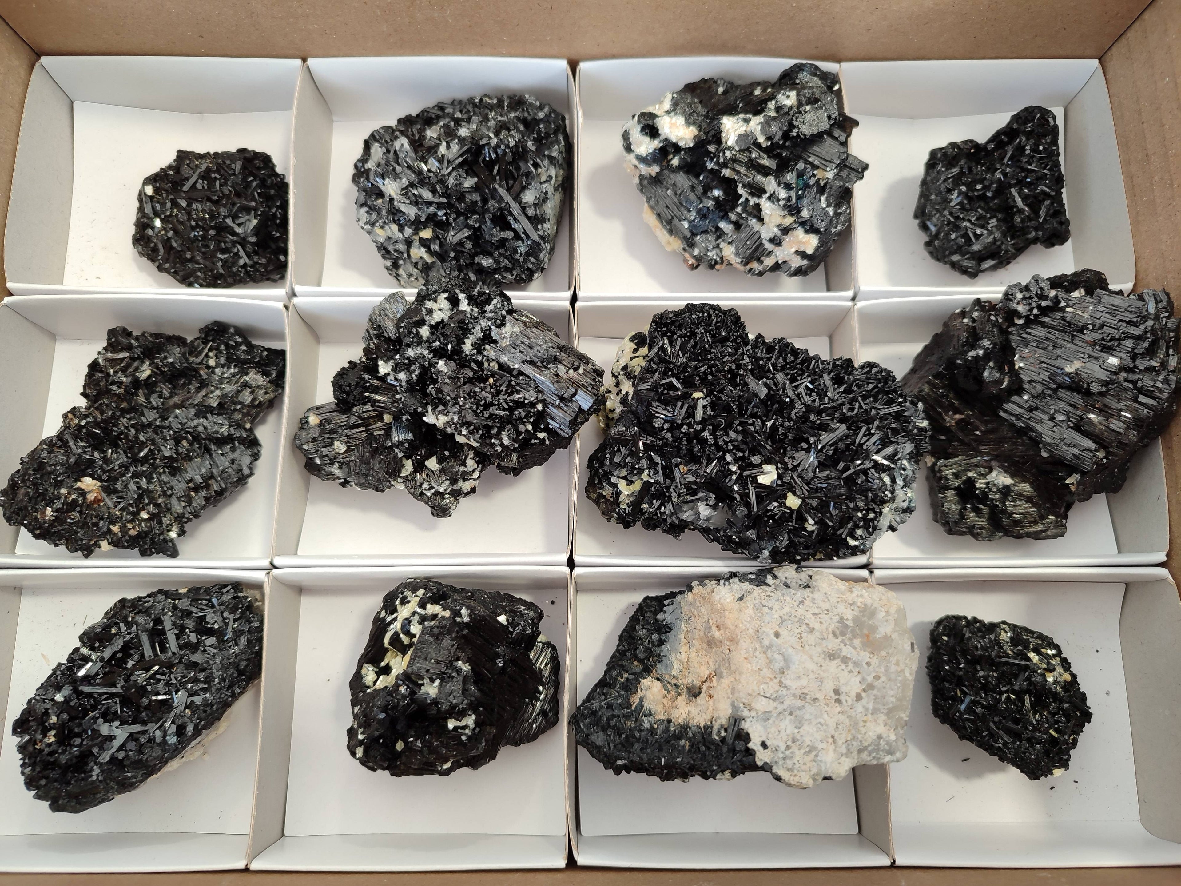 Natural Schorl Black Tourmaline Specimens x 12 From Erongo, Namibia - Toprock Gemstones and Minerals 