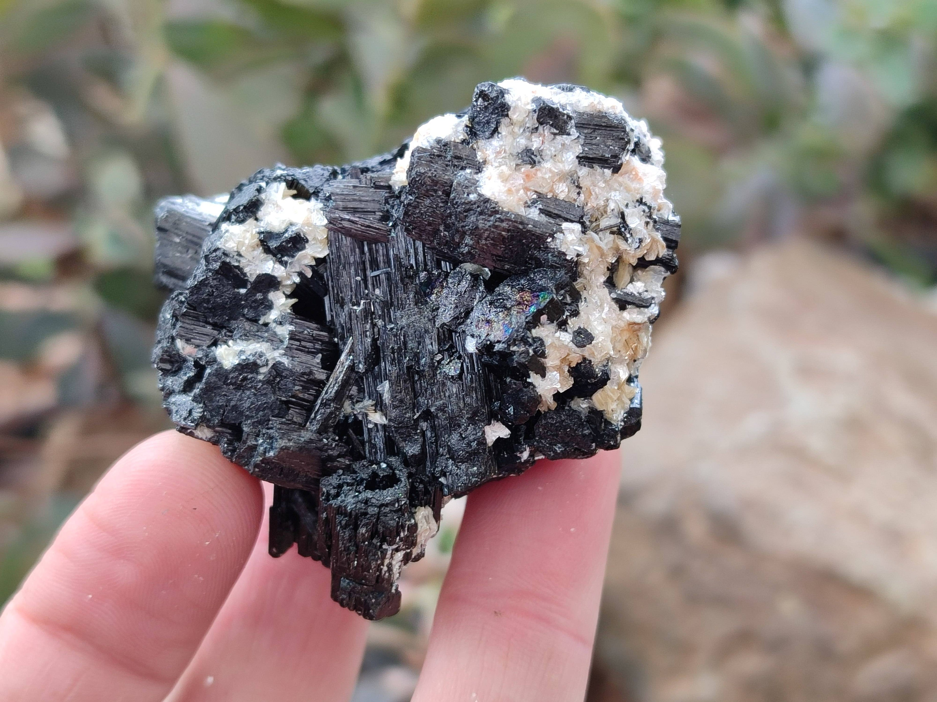 Natural Schorl Black Tourmaline Specimens x 12 From Erongo, Namibia - Toprock Gemstones and Minerals 