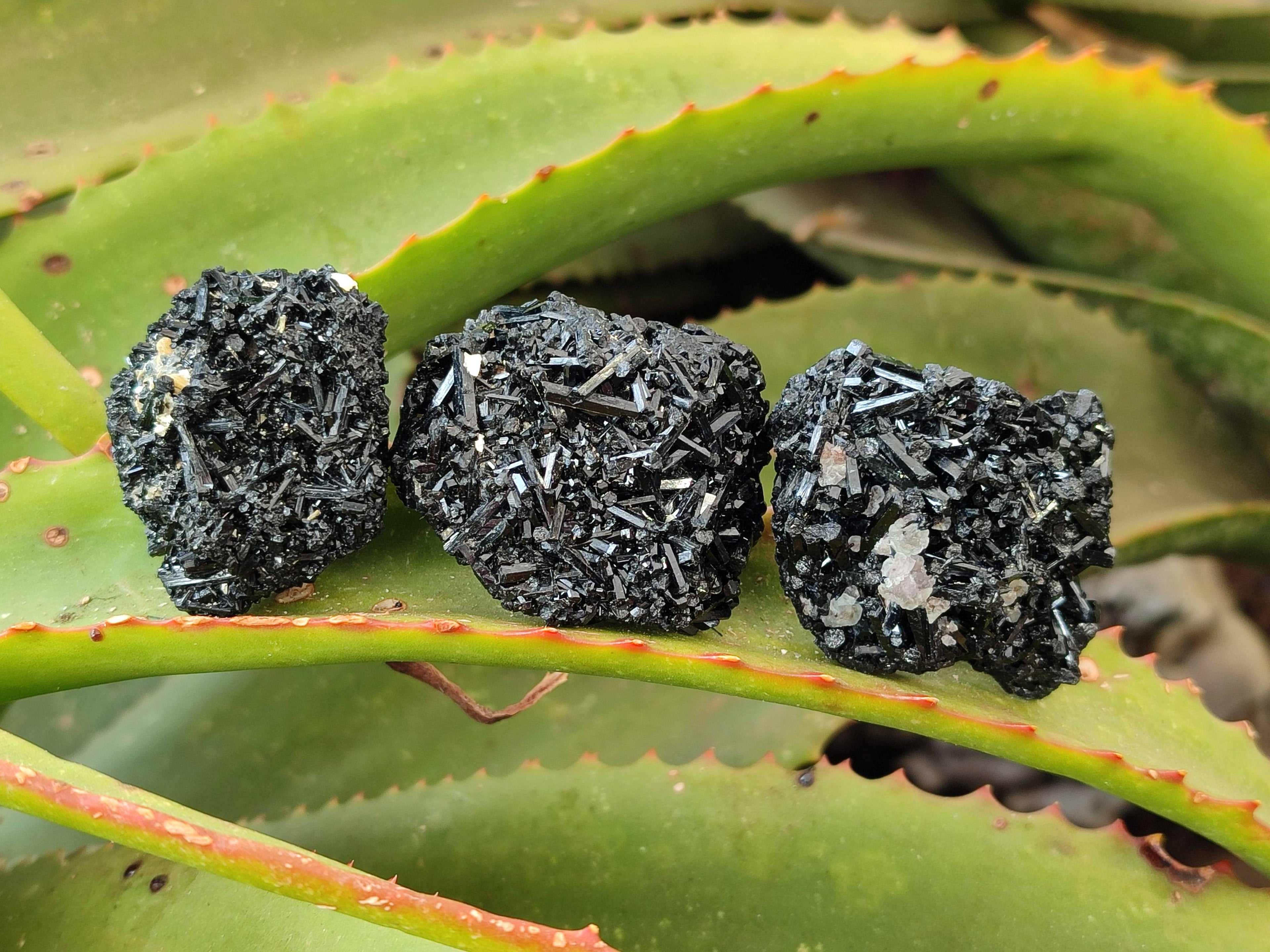 Natural Schorl Black Tourmaline Specimens x 12 From Erongo, Namibia - Toprock Gemstones and Minerals 