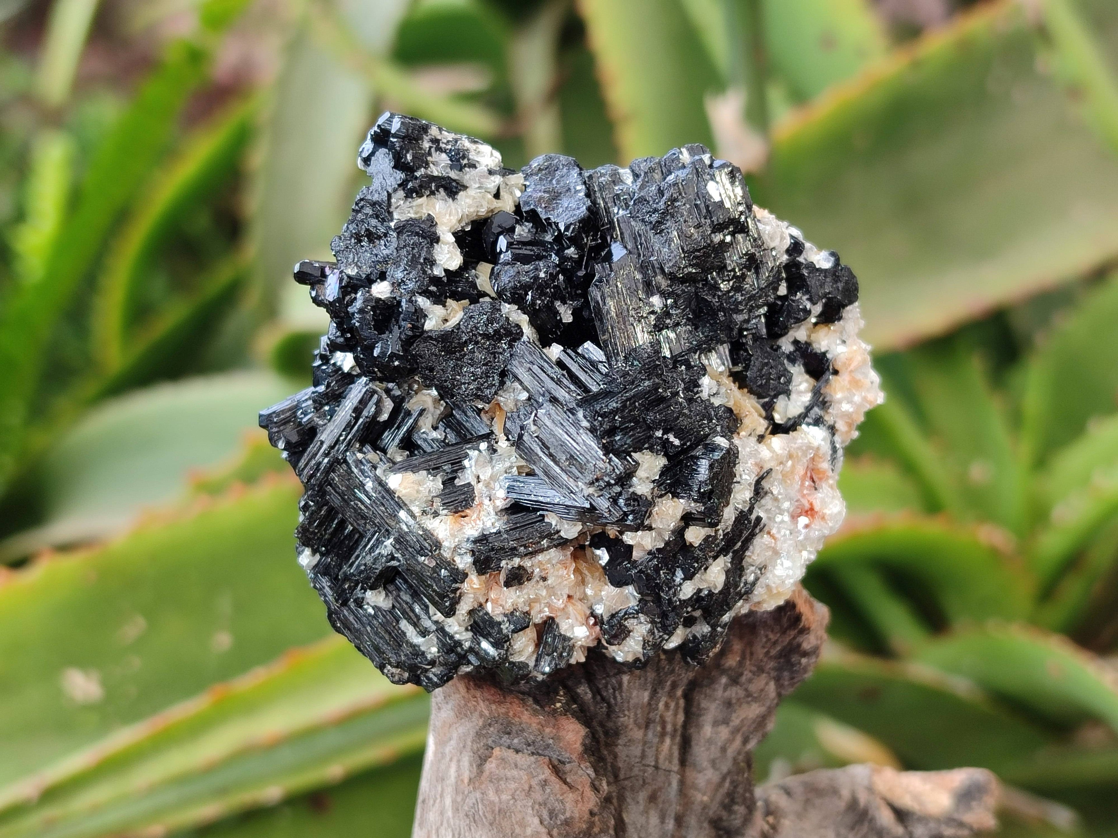 Natural Schorl Black Tourmaline Specimens x 12 From Erongo, Namibia - Toprock Gemstones and Minerals 